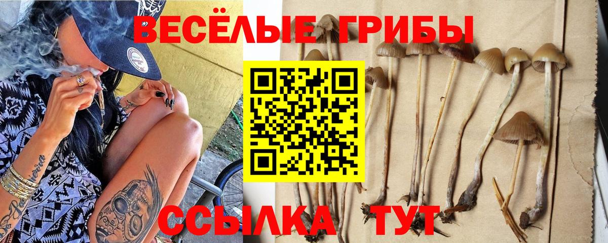 Борзя  Галлюциногенные грибы мицелий  Вход с VPN 